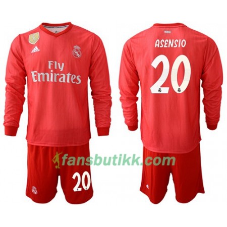 Fotballdrakt Real Madrid Asensio 20 Barn Tredjetrøye 2018-2019 Langermet